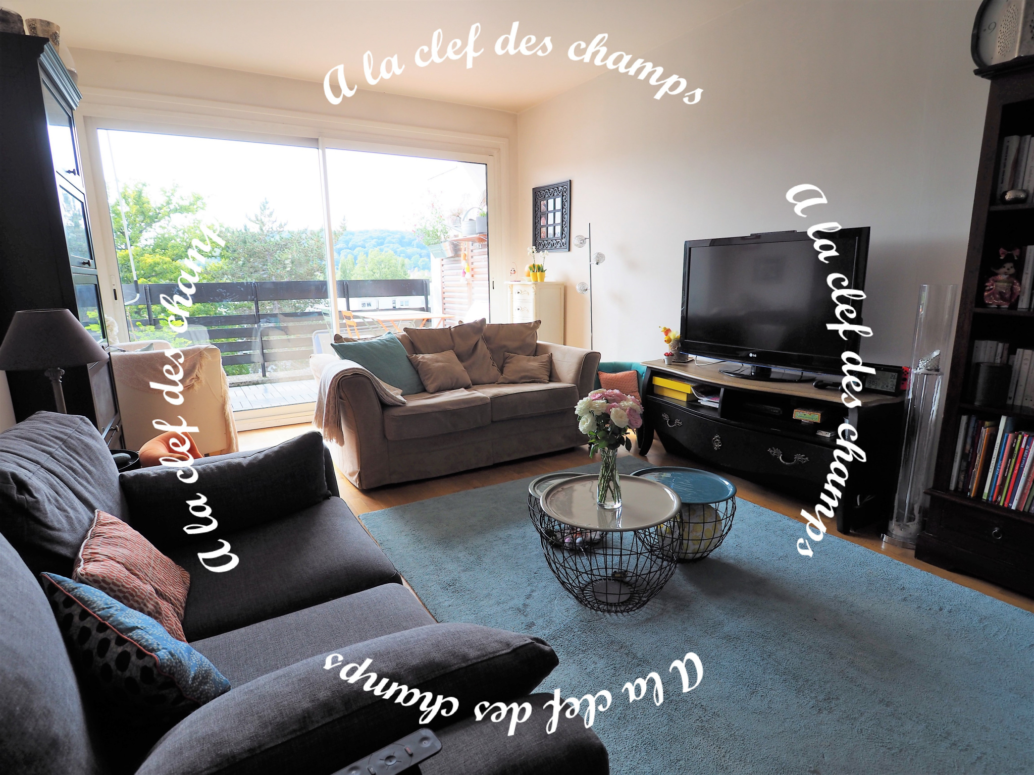 Image_, Appartement, Gif-sur-Yvette, ref :T669