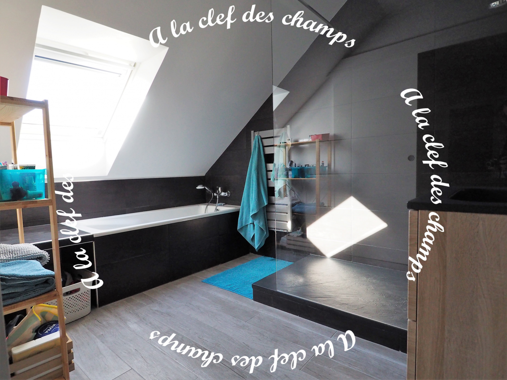 Image_, Maison, Gif-sur-Yvette, ref :T733