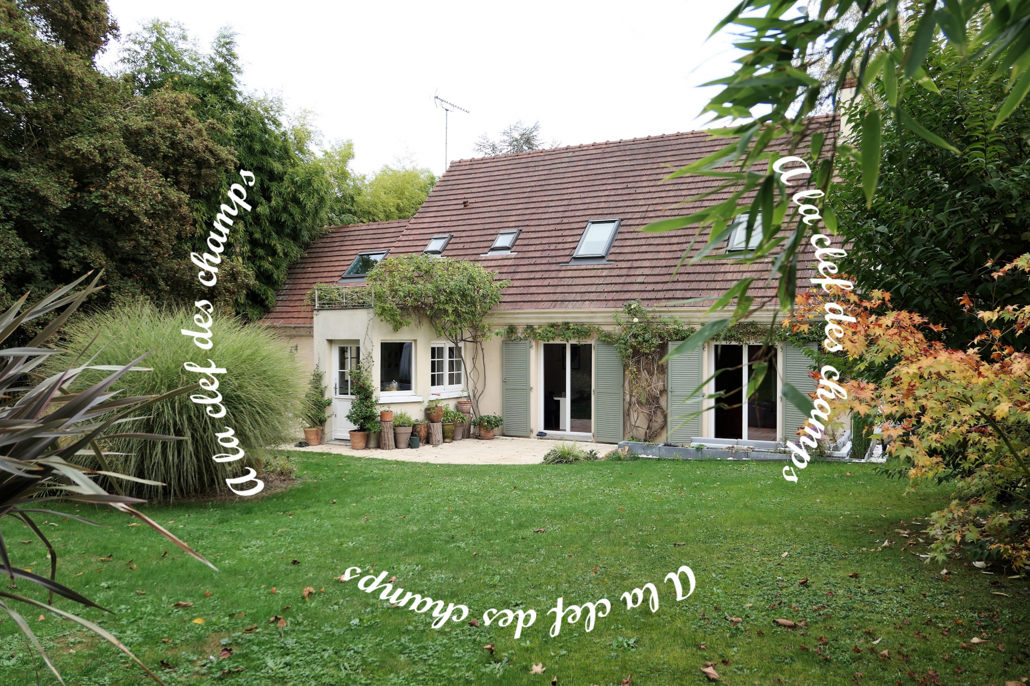 Image_, Maison, Gif-sur-Yvette, ref :T579