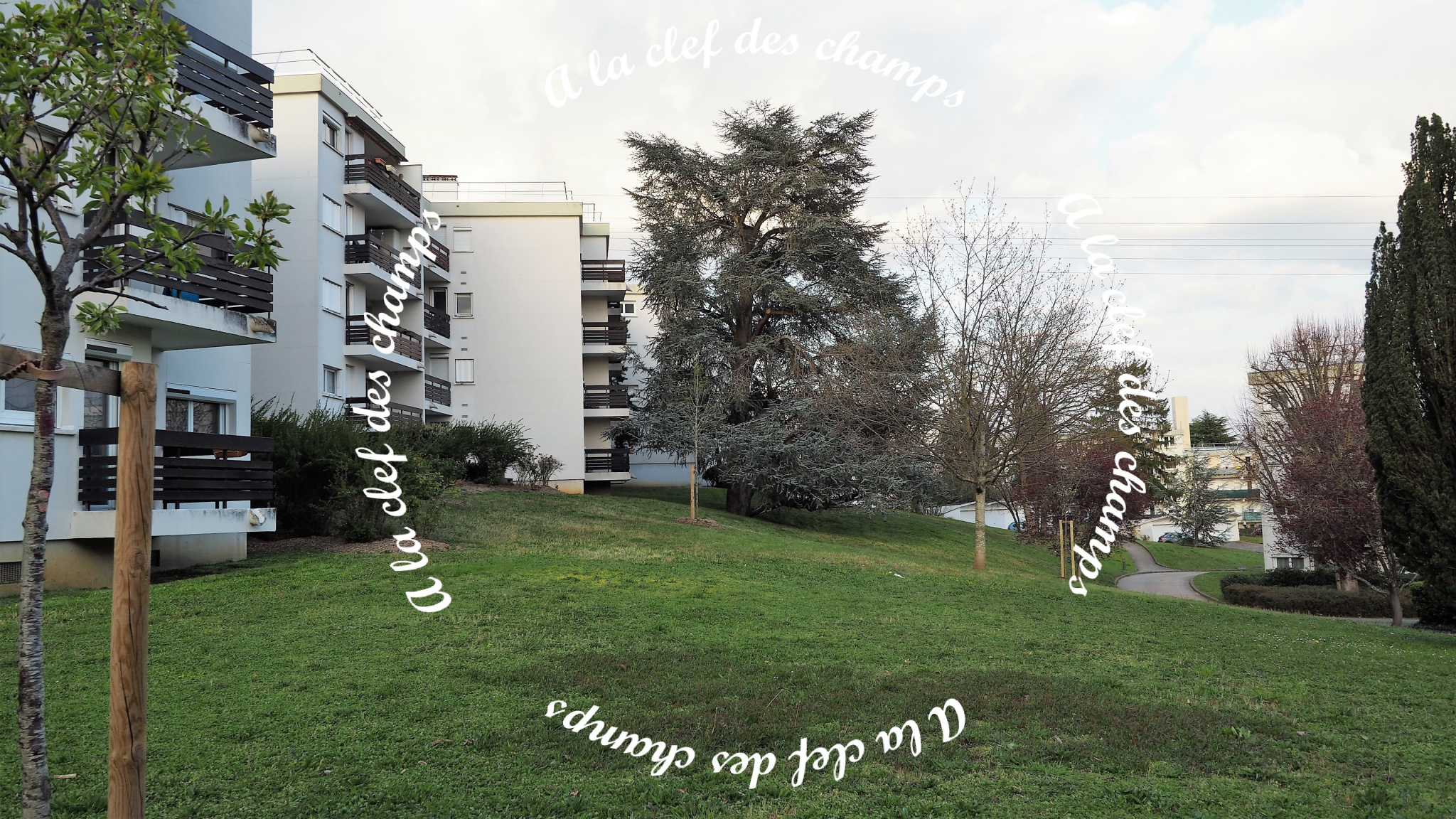 Image_, Appartement, Gif-sur-Yvette, ref :T773