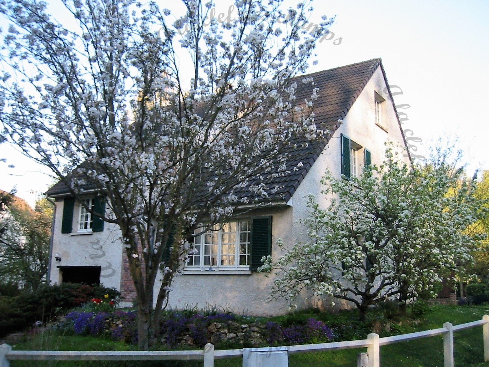 Image_, Maison, Gif-sur-Yvette, ref :T460