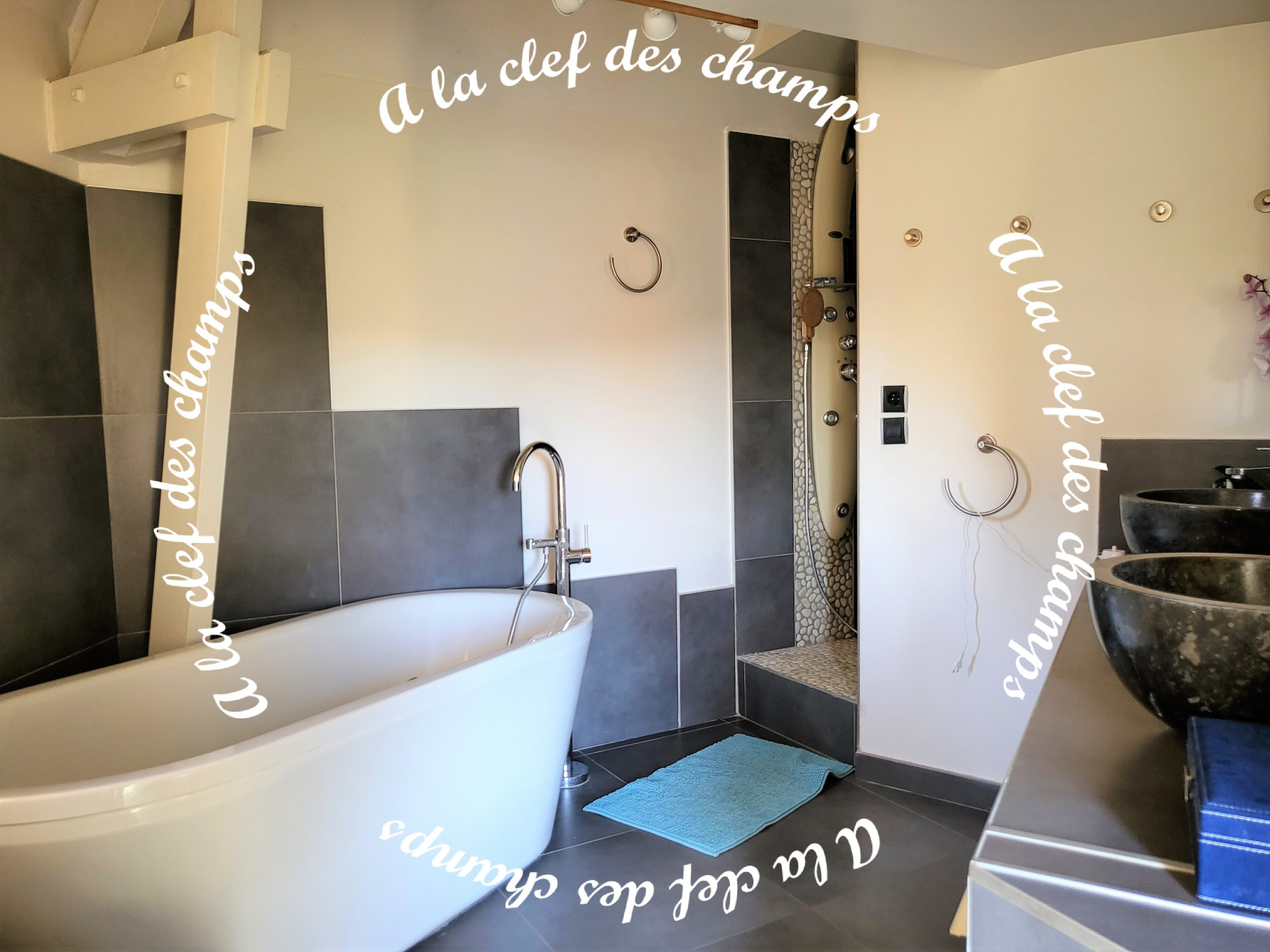 Image_, Maison, Gif-sur-Yvette, ref :T813