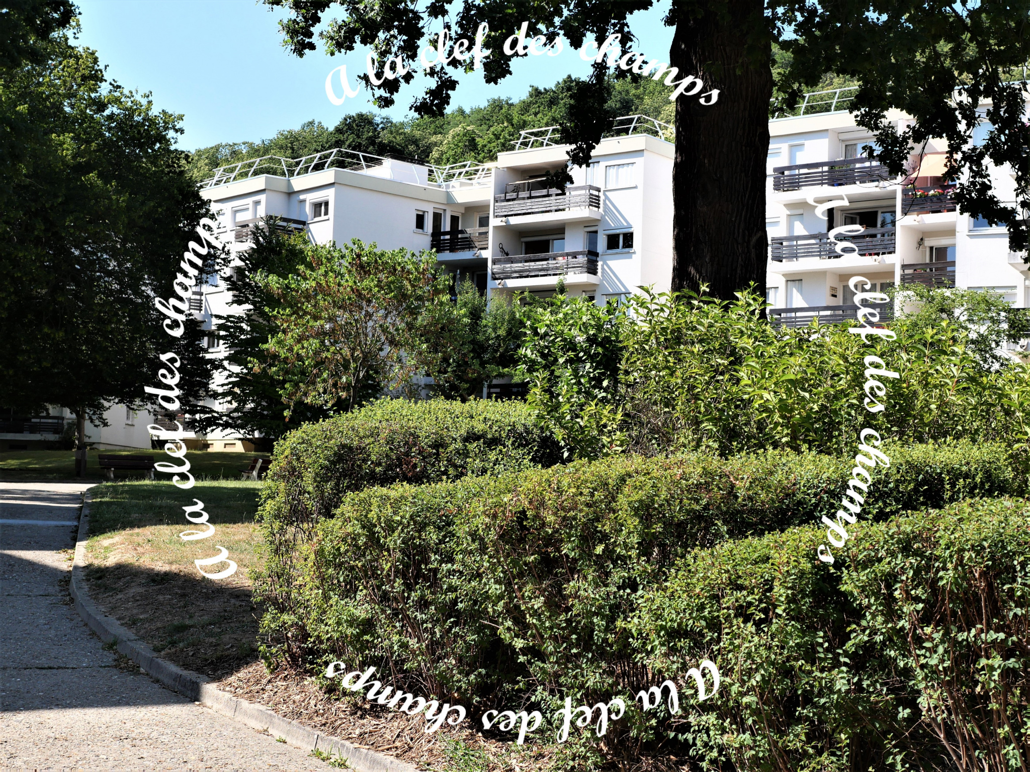Image_, Appartement, Gif-sur-Yvette, ref :T652